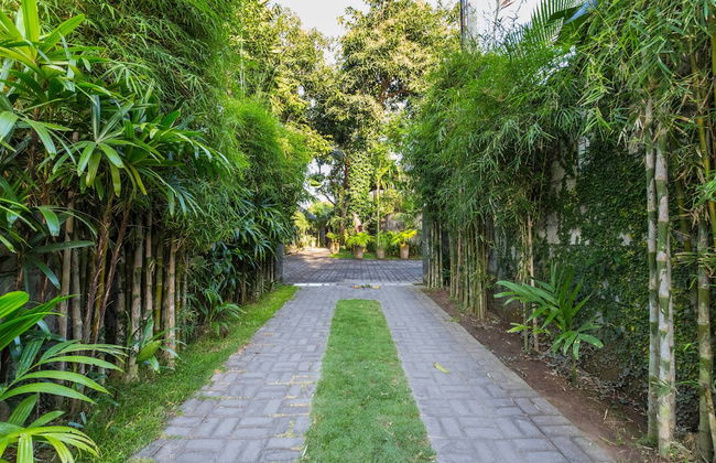 Mango Tree Villas - Foto 40