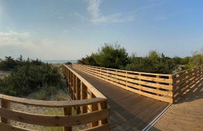 Dune House - Photo 40
