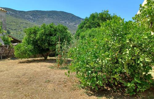 Apartman Studio Lu - Foto 17