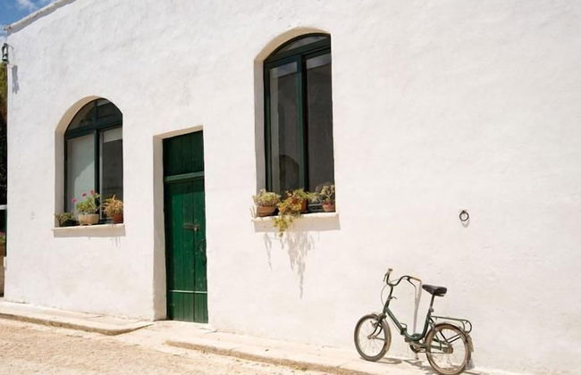 Tenuta Badessa - Photo 34