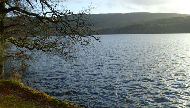 Stirling Castle, Loch Lomond and Cruise - Small Group Tour - Photo 2