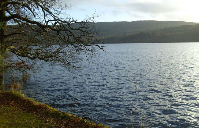 Stirling Castle, Loch Lomond and Cruise - Small Group Tour - Photo 2
