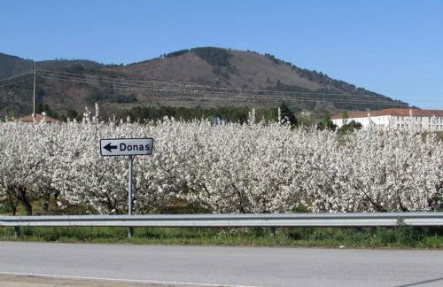 Casa Entre Serras - Foto 12