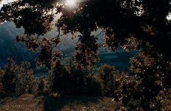 Azienda Agricola Saint Hubert - Foto 92