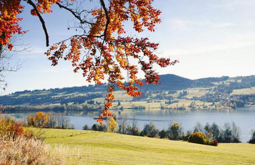 NEU FeWo Rottachblick - Foto 36