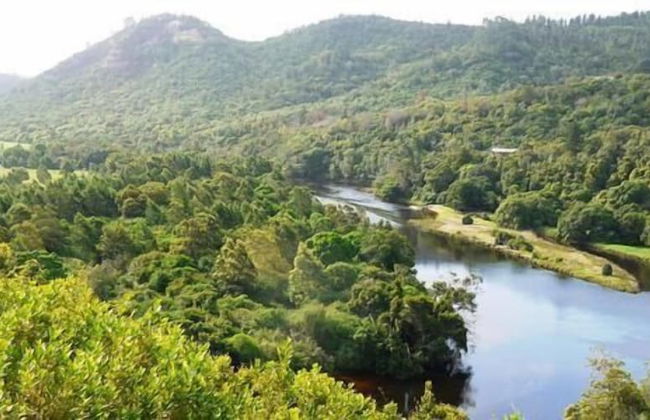 Velvet Moon Cottage - Foto 10