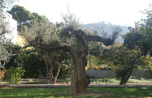El Campillo, casa de campo cerca de la playa - Foto 44