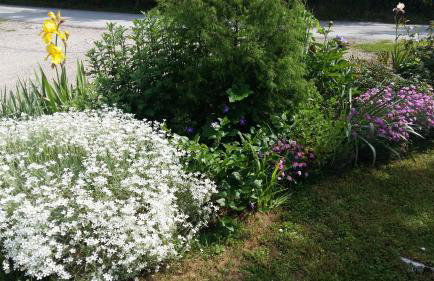 Apartment King - Foto 47