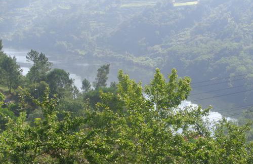 Bernardes House - Foto 53