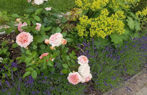 Moltke-Villa - Foto 5