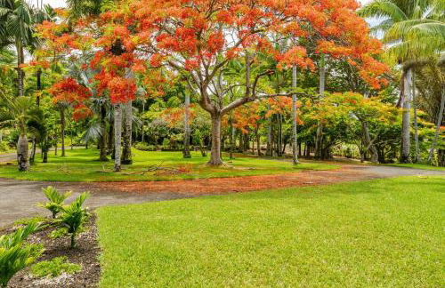 Oceanfront Treehouse at Hakalau with Kitchen - Foto 20