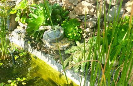 Finca Maracuya - Foto 5