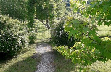 Kuća za odmor Sichelberg - Foto 21