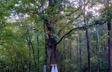 Paradise Meadows Farmhouse - Foto 32