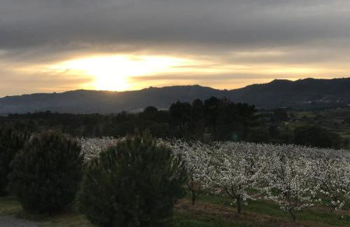 Quinta da Porta - Solar de Vale de Prazeres - Foto 57