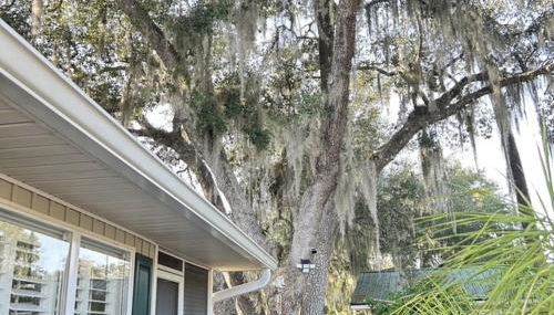 Home Sweet Home - Foto 4