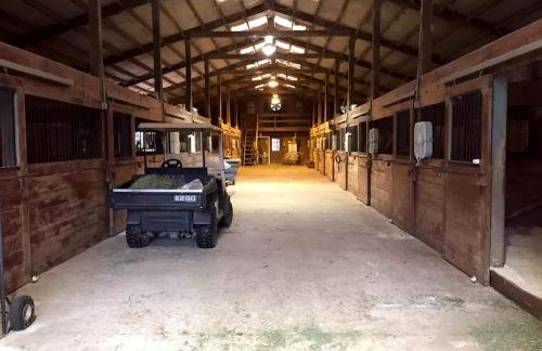 Rustic Cabin Rental on Secluded Farmland near Raleigh, North Carolina - Foto 6
