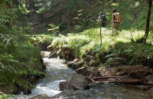 Ferienoase Hinterhermsdorf - Foto 31