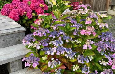 Villa en bois Perros-Guirec - GWEZ-ROZ - Foto 23