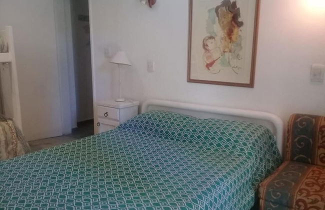 Dark Green House - Chacras de Coria - Photo 7