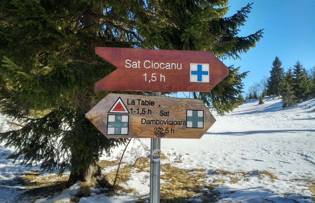 Senderismo por Ciocanu - Foto 3