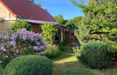 Familiennest am MüritzSee mit Kamin & Sauna - Foto 48