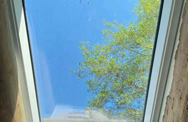 EL VIEJO MOLINO - Foto 32