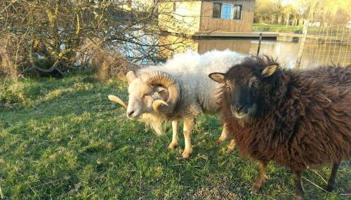 tom Sawyer cabane flottante - Foto 5