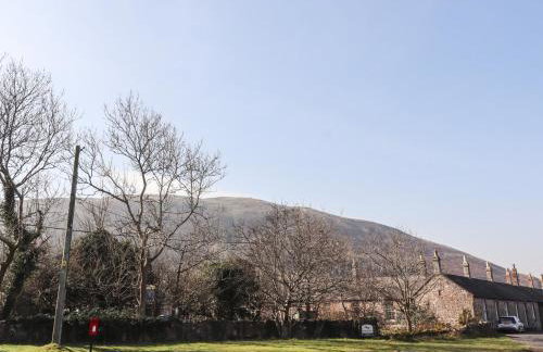 Bizzie Lizzie - Photo 54