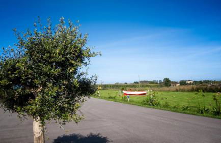 Apartamentos Turísticos A Galera - Ribadeo - Foto 49