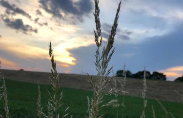 Dom z jacuzzi & tarasem całoroczny do 10 osób DOM NA PROMOWEJ - LAS, Zator - Photo 35