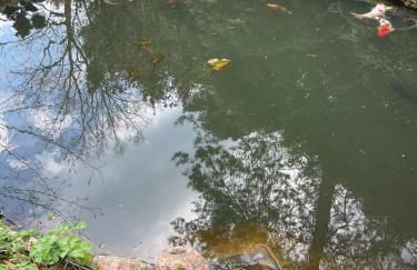 Waldtraum Wandlitzsee - Foto 42