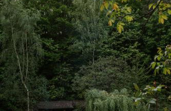 Przylesie 12 - Foto 12