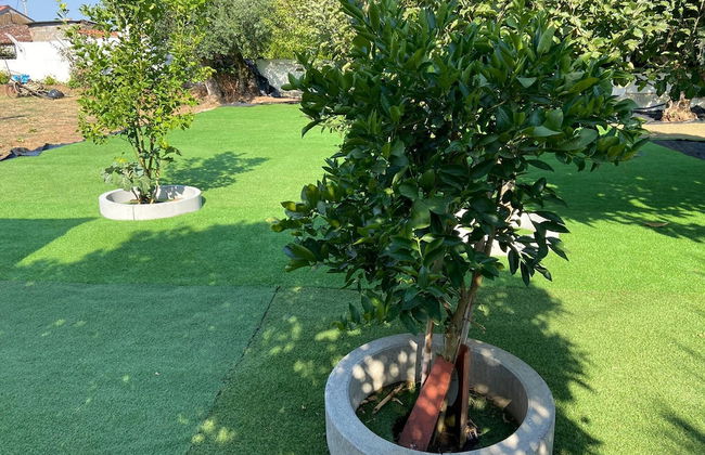 VISITAR BIOUCAS I - Casa Inteira Familiar e Grupo de Amigos - Foto 78