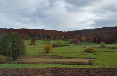 Ferienwohnung Zum Märchenwald - Foto 11