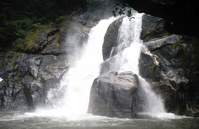 Excursão com Trekking nas Colinas Douradas (Ponmudi) - Foto 3