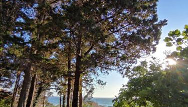 House Theofilos - Foto 2