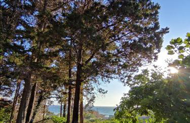 House Theofilos - Foto 2