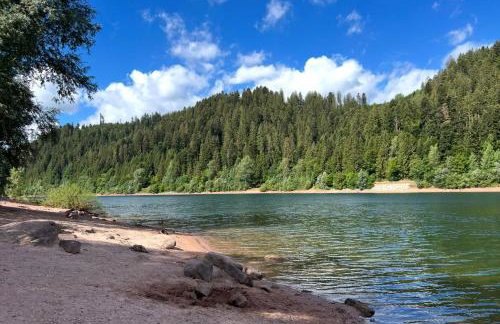 Ferienwohnung Nordschwarzwald - Foto 3