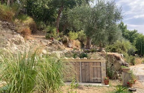 il peperino - Foto 17