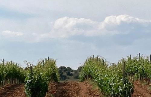 La Ren Lecrés Apartamento piscina jardin - Photo 30