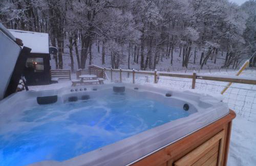 2 bed lodge with private hot tub in Aviemore - Foto 31