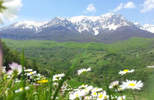 La via del parco - Foto 12