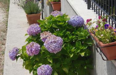 Residence Ai Campi Da Golf Saturnia - Foto 55