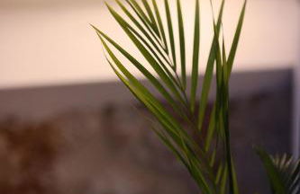 Hellenic Suites Afrodite Jacuzzi & Fireplace - Foto 11