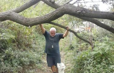 Apartments Jug - Foto 65