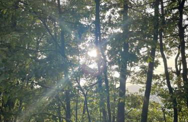 Casa Vacanze Ca' di Lucchini - Photo 25