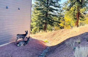 Mountain and Pond View, HotTub, Stars, Kid and Dog Friendly - Foto 24