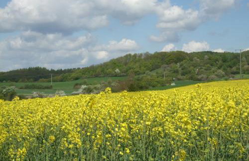 Ferienwohnung Bockelt - Foto 29