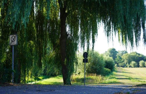 FeWo Elbdeichliebe - Photo 51